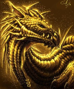dragon-dor